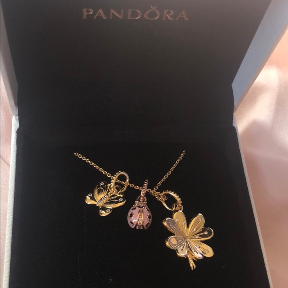Charm necklace brand new